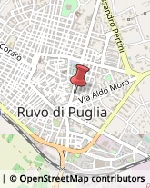 Designers - Studi Ruvo di Puglia,70037Bari