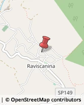 Consulenza Informatica Raviscanina,81017Caserta