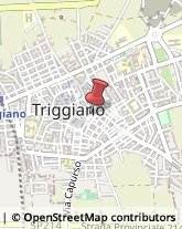 Grissini Triggiano,70019Bari