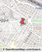 Tour Operator e Agenzia di Viaggi,71121Foggia