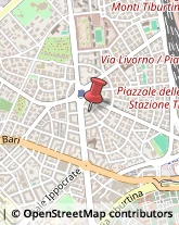 Ricerca e Selezione del Personale Roma,00162Roma