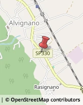 Farmacie Alvignano,81012Caserta