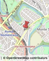 Università ed Istituti Superiori Roma,00141Roma