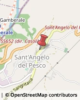 Piante e Fiori - Dettaglio Sant'Angelo del Pesco,86080Isernia