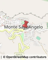 Palestre e Centri Fitness Monte Sant'Angelo,71037Foggia