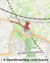 Articoli Sportivi - Produzione San Cesareo,00030Roma