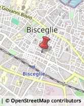 Revisione e Certificazione Bilanci Bisceglie,76011Barletta-Andria-Trani