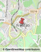 Ecografia e Radiologia - Studi Frascati,00044Roma