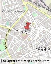 Consulenza Informatica Foggia,71121Foggia