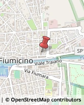 Conserve Fiumicino,00054Roma