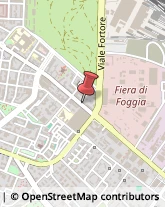 ,71121Foggia