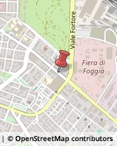 Avvocati,71121Foggia