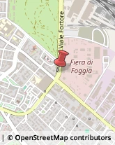 Viale Fortore, 48-50,71121Foggia