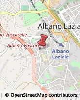 Fiere, Saloni e Mostre - Enti Organizzatori Albano Laziale,00041Roma