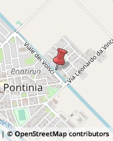 Pasticcerie - Dettaglio Pontinia,04100Latina