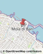 Traduttori ed Interpreti Mola di Bari,70042Bari