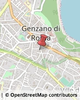 Piante e Fiori - Dettaglio Genzano di Roma,00045Roma