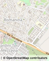 Pubblicità - Agenzie e Studi Roma,00173Roma
