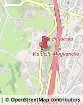 Pompe d'Iniezione per Motori Roma,00166Roma