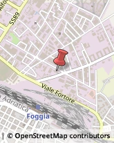 Edilizia - Attrezzature Foggia,71121Foggia