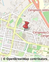 Consulenza del Lavoro Cerignola,71042Foggia