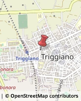 Centri di Benessere Triggiano,70019Bari