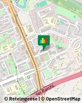 Consulenza Informatica,00155Roma
