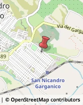 Agenti e Rappresentanti di Commercio San Nicandro Garganico,71015Foggia