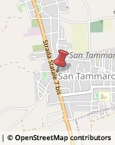 Elementari - Scuole Private San Tammaro,81050Caserta