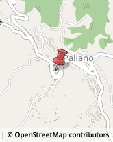 Finanziamenti e Mutui Paliano,03018Frosinone