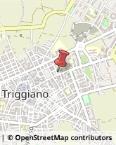 Ingegneri Triggiano,70019Bari