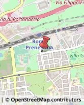 Frutta e Verdura - Dettaglio Roma,00177Roma