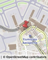 Trasporti Aerei Fiumicino,00054Roma