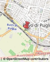 Uniformi e Divise Ruvo di Puglia,70037Bari