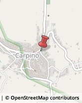 Farmacie Carpino,71010Foggia