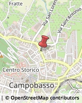 Trasporto Pubblico,86100Campobasso