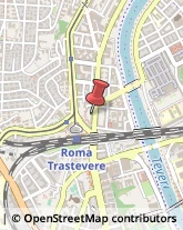 Elettrodomestici Accessori e Parti - Produzione e Ingrosso,00153Roma