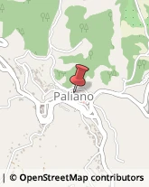 Consulenza Commerciale Paliano,03018Frosinone
