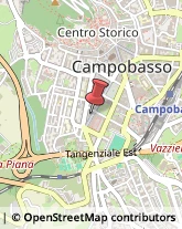 Consulenza Commerciale,86100Campobasso