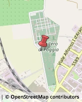 Spedizioni Marittime, Aeree e Terrestri Foggia,71121Foggia