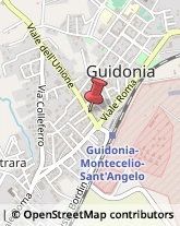Veterinaria - Ambulatori e Laboratori Guidonia Montecelio,00012Roma