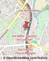 Pubblicità - Articoli ed Oggetti Roma,00162Roma