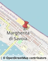 Piante e Fiori - Dettaglio Margherita di Savoia,76016Barletta-Andria-Trani