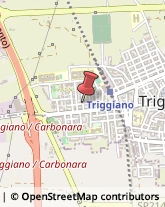 Commercialisti Triggiano,70019Bari