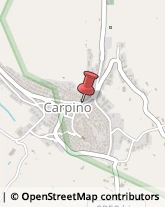 Onoranze e Pompe Funebri Carpino,Foggia