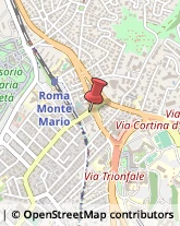 Elettromedicali Apparecchiature - Commercio Roma,00135Roma
