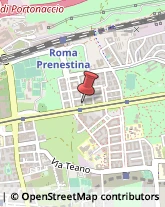 Palestre e Centri Fitness Roma,00177Roma