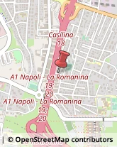 Formaggi e Latticini - Produzione Roma,00161Roma