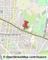 Spurgo Fognature Roma,00177Roma