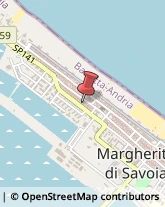 Smaltimento e Trattamento Rifiuti - Servizio Margherita di Savoia,76016Barletta-Andria-Trani